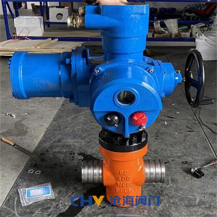 CHVJ沧海S19TZF-108-40Mpa特高压平板闸阀