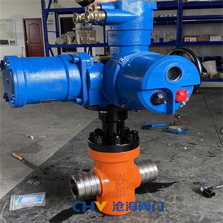 CHVJ沧海S19CZF-133-20Mpa超高压平板闸阀